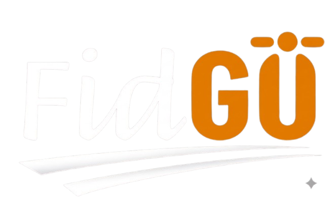 Fidgo